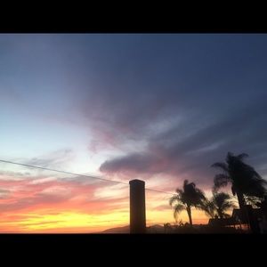 Meet your Posher, Sree